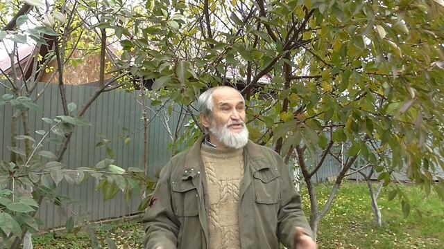 Созидатели и потребители