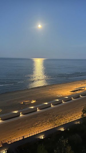 ab295d7b-1adc-48ac-9b0c-0d1d43366b3e