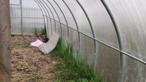 10 лет эксплуатации теплицы из поликарбоната. На что обратить внимание.