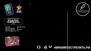 Батарея салютов "Жадина говядина" JF C24