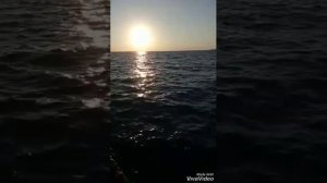 Песня "Море" слова и музыка Альбины Мурадымовой