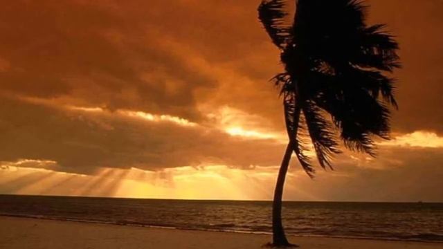 Music of Yoga Nadiya Godrume смотреть онлайн