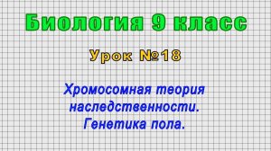 Биология 9 класс (Урок№18 - Хромосомная теория наследственности. Генетика пола.)