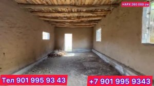 ХОНА ФРУШИ ШАХРИ РЕГАР ШИРКЕНТ АРЗОН ХОНАИ КАЛОН УДОБНЫЙ ЧОЙ 19 января 2024 г.