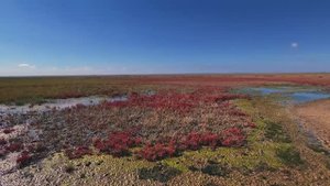 Водохранилище Чограйское в Арзгирском округе. Ставропольский край.