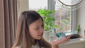 Кубинская хутия