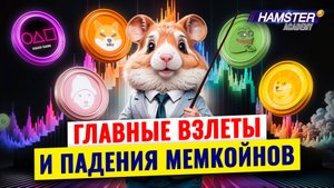 Как эти мемкойны сделали миллионеров… и разбили сердца ⚡️ Hamster Academy