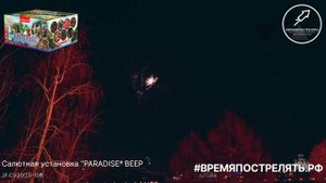 Батарея салютов "PARADISE" JF CV20.25-106