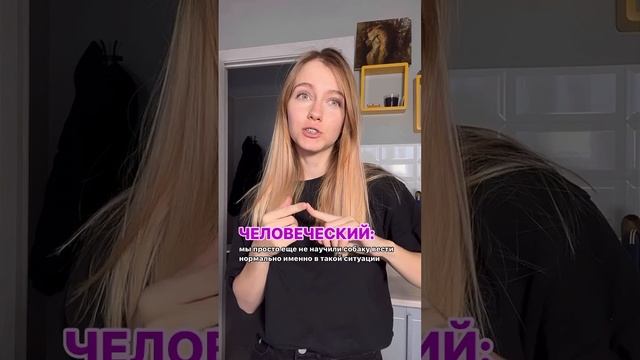 Профессиональный перевод. Часть 1.