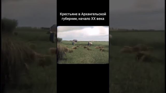 Архангельские крестьяне, начало 20 века смотреть онлайн