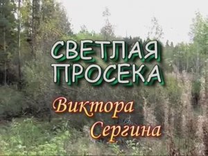 Светлая просека Виктора Сергина