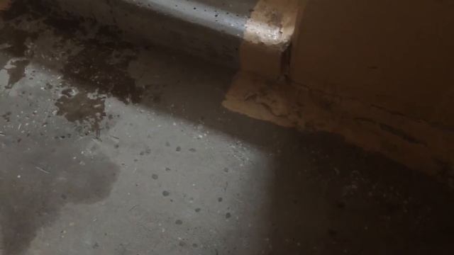 МАКС ГНИЛОВ ЖИВ!!! смотреть онлайн