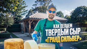 Изготовление твёрдого сыра «Гранд Сильвер»: от сепарации молока  до обжига сыра / Уход за сыром