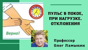 Пульс в покое, при нагрузке, отклонения. Проф. Ламыкин О.Д.