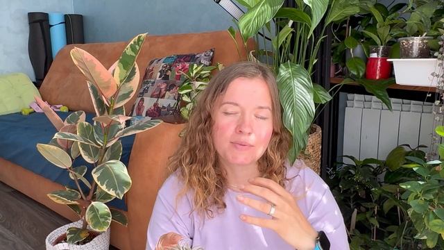 Атмосферная тилландсия. Растение без грунта. смотреть онлайн