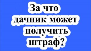 За что дачник может получить штраф?