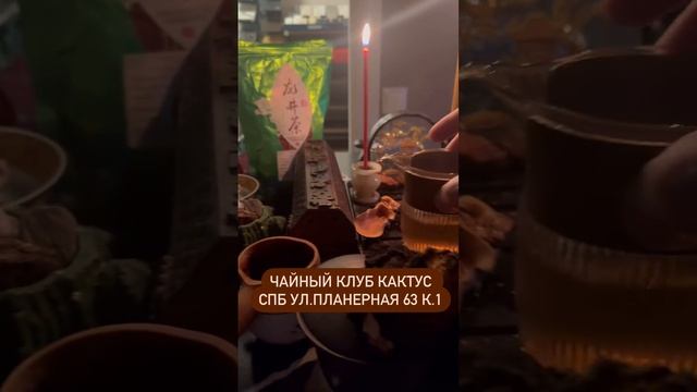 Чайный клуб Cactusstone