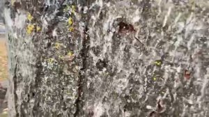 3 часть пряток экстрим