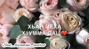 Йишийна лерина дешнаш