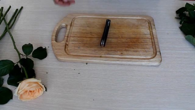 Тест ножа Dagger Urban от компании DaggerrKnives . / Knife test Dagger Urban by DaggerrKnives смотреть онлайн