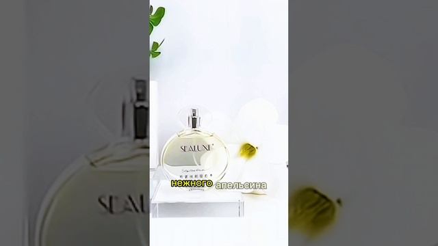 SEALUXE Star Perfume #SEALUXE #Star #Perfume #парфюм #аромат #greenleaf #гренлиф #shorts #shortvideo