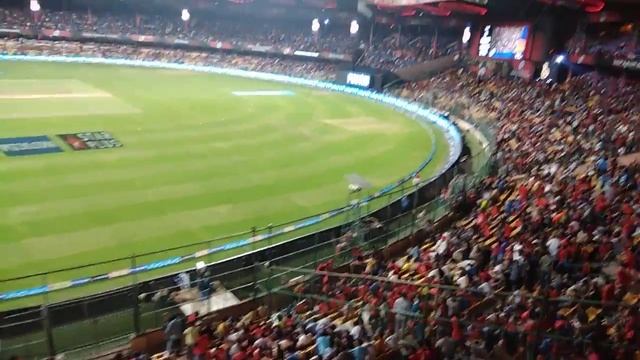 RCB crowd sets new record of 141 decibels. RCB vs MI