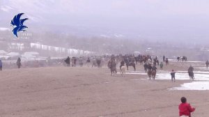 КУДАЙБЕРДИ БАЛБАН ЧОН СОРУНДАРДЫ КЫРДЫ 3 МАРРА КЫЛДЫ НООКАТ АЛГА