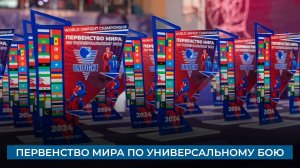 Первенство мира по универсальному бою