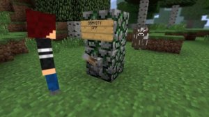 Minecraft- Gravity physics of Minecraft