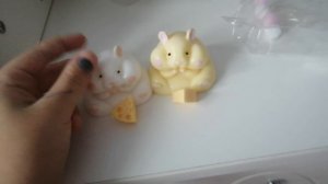 Обзор на таба хомячков.mp4