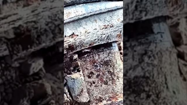 Процесс ремонта