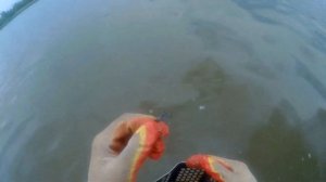 В воде с металлоискателем XP ORX,поиск на пляже!