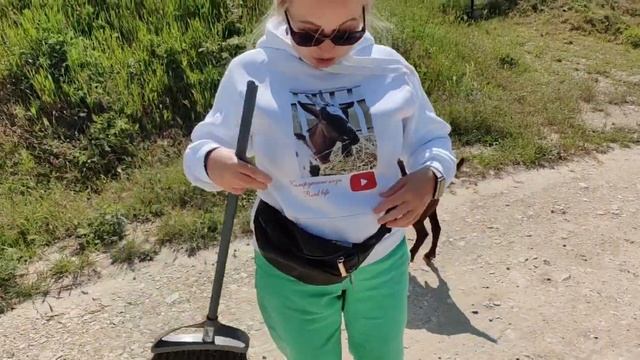 КОЗЫ ПРИВЕЛИ НАС В ГОРЫ. ИЩУ СЕНО.