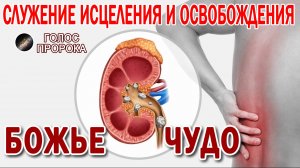 БОЖЬЕ ЧУДО // СЛУЖЕНИЕ ИСЦЕЛЕНИЯ И ОСВОБОЖДЕНИЯ