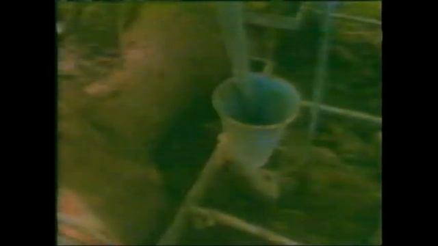 DÜNYAYI KURTARALIM #dünya #dunya #ekologi #ekologie #ekoloji #ekolojik #cevre #çevre #çevreci смотреть онлайн