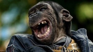 Сидим в чат рулетке с ЧЁРНЫМ