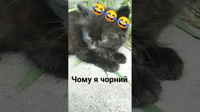 #чернота чому я чорна