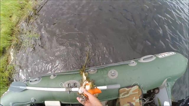 И снова Аргазинское водохранилище 16.07.2016