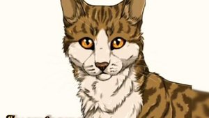 Коты-Воители. Мои любимые персонажи.