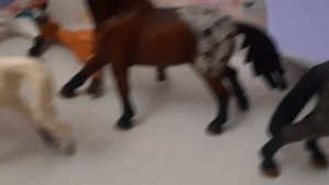20241112_201426.mp4