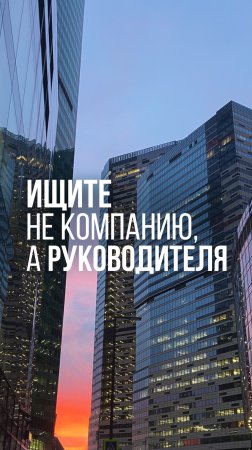 Ищите не компанию, а руководителя #предприниматель #бизнес #руководитель #компания #IT #мотивация