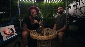 Как легализация изменила Тайланд? Сколько стоит открыть кофешоп? Сколько приносит травяной бизнес?