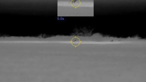 Coyote hunting with pulsar Talion xq35