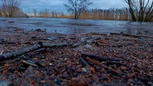 Плеск волн и звуки природы. Видео#6