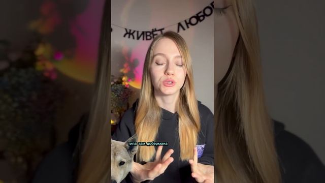 Бесит кинолога #кинолог #воспитаниесобак