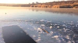 Арбековский пруд. Дети. Лед.