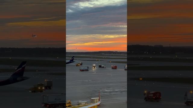 Morning rush of SVO airport. And Moscow sunrise :)