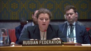 Statement by Anna Evstigneeva at a joint briefing by the Chairs of subsidiary bodies of the UNSC