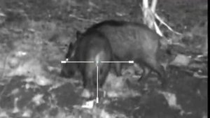 Yukon Photon XT 4.6x42 S Digital Night Vision