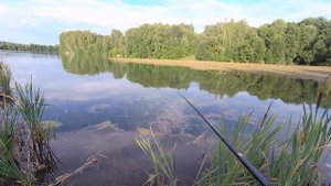 РЫБАЛКА В ИЮНЕ НА ПОПЛАВОК. ПРИЕХАЛ ЗА ПЛОТВОЙ, А КЛЮЕТ КРАСНОПЕРКА. ЧТО СДЕЛАЛ НЕ ТАК ?